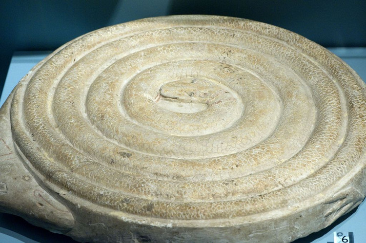 10 su that thu vi ve than ran Mehen cua nguoi Ai Cap co