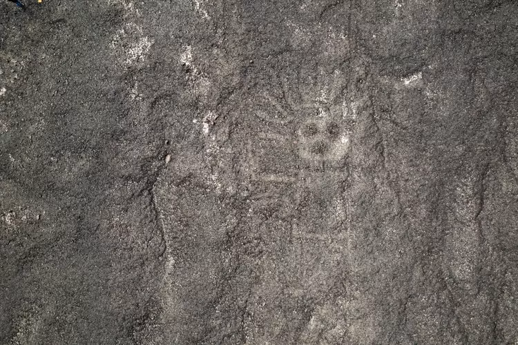 Phat hien de doi cua nha nghien cuu Nhat Ban tai sa mac Nazca-Hinh-12