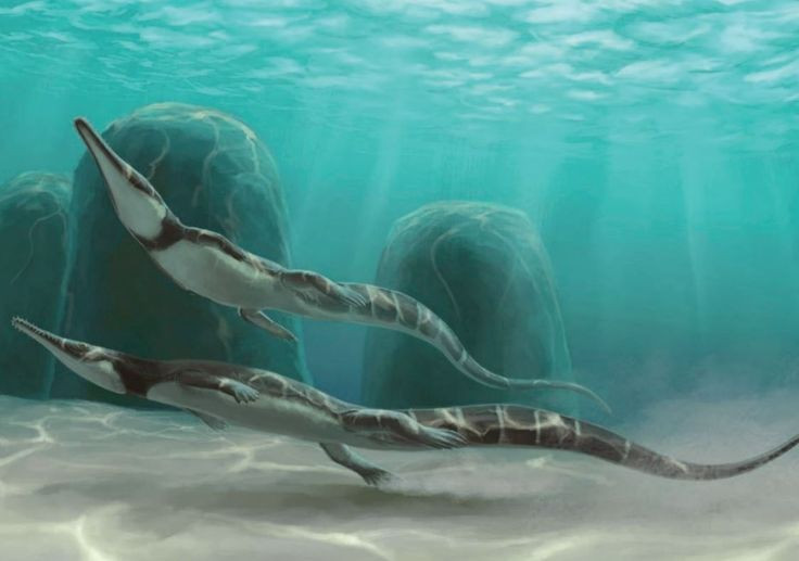 Hé mở sự thật đố ai tin nổi về tổ tiên của các loài rắn He mo su that do ai tin noi ve to tien cua cac loai ran