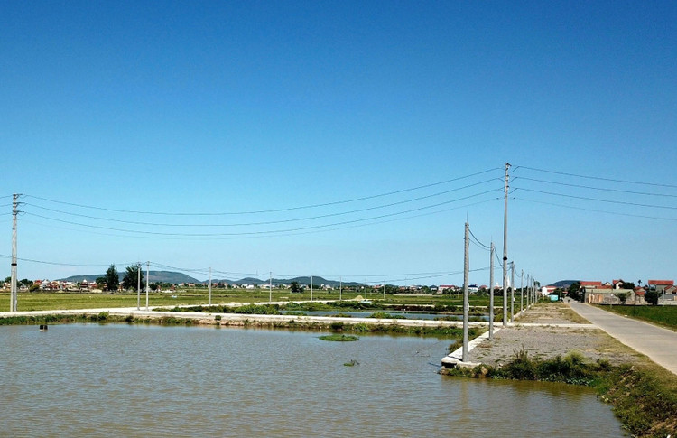 Khu vực đất đấu giá tại xã Quỳnh Hưng, huyện Quỳnh Lưu (Nghệ An).