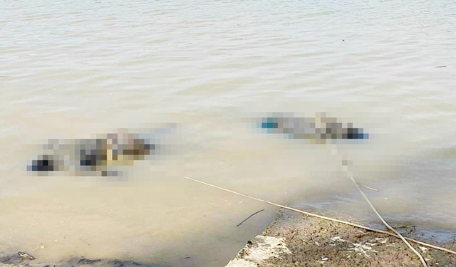 Ngày 11/11, lực lượng chức năng trục vớt 2 thi thể nam giới trôi dạt trên sông Lam.