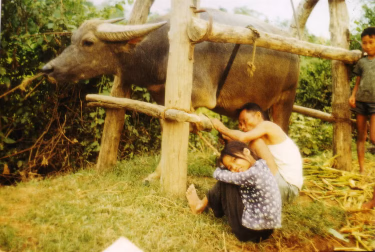 Anh day hoai niem ve nong thon mien Bac nam 1973-1974-Hinh-2
