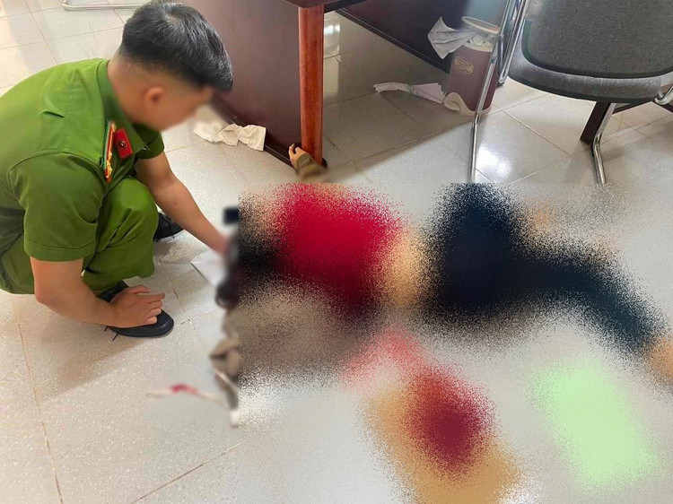 Mâu thuẫn trong quá trình chia tài sản chung, Q. đã dùng dao đâm trọng thương chị L. Mâu thuẫn trong quá trình chia tài sản chung, Q. đã dùng dao đâm trọng thương chị L.