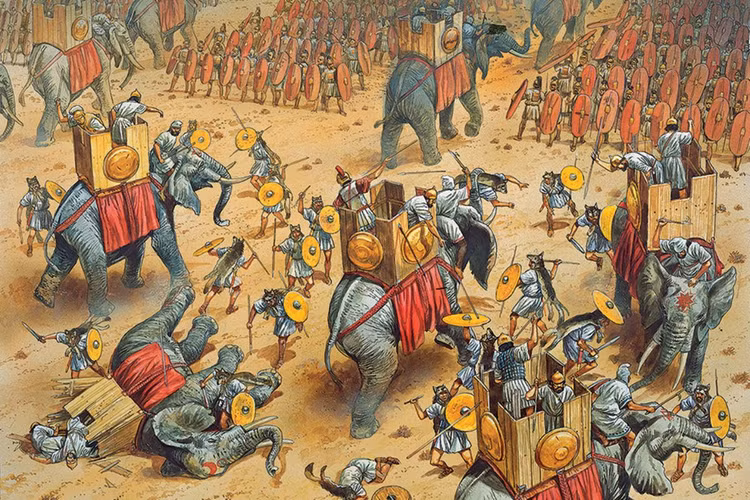 Sự thật kinh ngạc về voi chiến trong lịch sử quân sự - Hình 7 Su that kinh ngac ve voi chien trong lich su quan su-Hinh-7