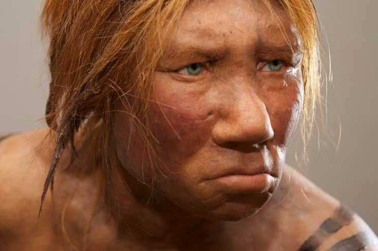 Nguoi Neanderthal bi tuyet chung do 'yeu' nguoi hien dai?-Hinh-11