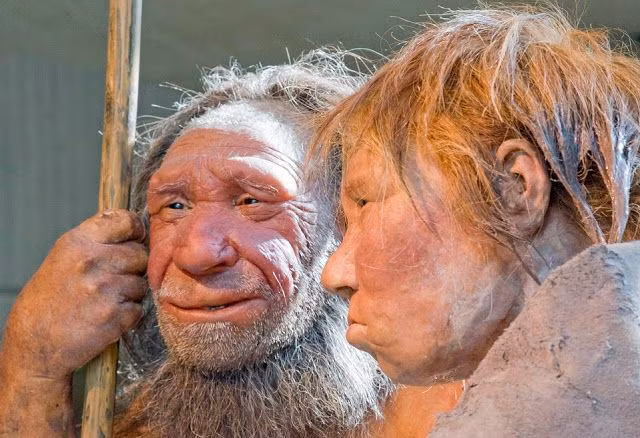 Nguoi Neanderthal bi tuyet chung do 'yeu' nguoi hien dai?-Hinh-5