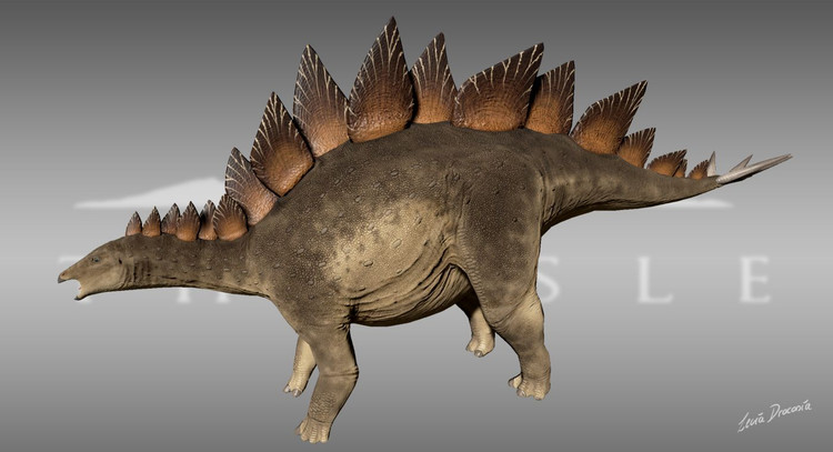 20 dieu thu vi it nguoi biet ve loai khung long gai huyen thoai-Hinh-13