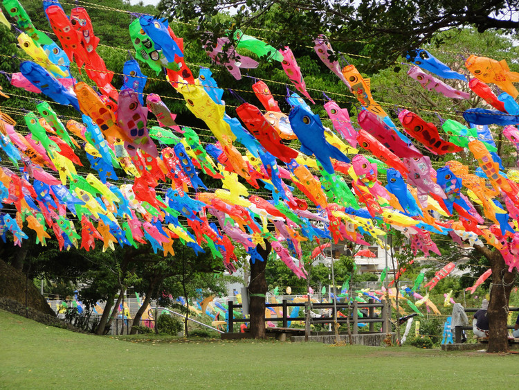 Top 15 su that thu vi it nguoi biet ve ca koi-Hinh-13