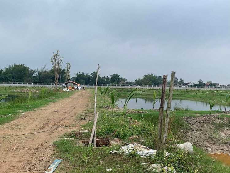 Phía bên trong được ông Tùng đào ao, trồng cây.... Ảnh: Trần Quốc