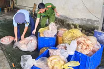 Phát hiện hơn 3,9 tấn thực phẩm đông lạnh bốc mùi hôi thối