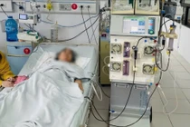 Ngừng tim, suy đa tạng do ong đốt vùng cẳng chân