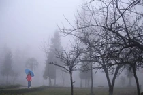 Dự báo thời tiết 27/1/2026: Miền Bắc mưa phùn, Nam Bộ nắng ấm