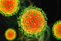 Ấn Độ phát hiện các ca nhiễm virus Nipah, lo ngại dịch bùng phát