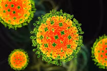 Ấn Độ phát hiện các ca nhiễm virus Nipah, lo ngại dịch bùng phát