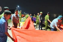 Bắc Ninh ứng phó khẩn cấp với 27 sự cố đê điều do ảnh hưởng bão