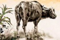 Dự đoán ngày mới 3/3/2026 cho 12 con giáp: Sửu bốc đồng