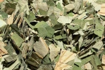 Lá sen giúp giảm mỡ hiệu quả, nhưng cần cẩn trọng dùng đúng cách