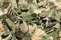 Lá sen giúp giảm mỡ hiệu quả, nhưng cần cẩn trọng dùng đúng cách