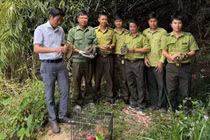 Nhiều động vật quý hiếm được thả về rừng Tây Nguyên