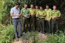 Nhiều động vật quý hiếm được thả về rừng Tây Nguyên