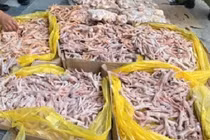  Thu giữ gần 500kg chân gà, đuôi lợn không rõ nguồn gốc