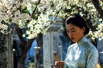 Thanh minh 2026: Đi viếng mộ '3 thứ không mang, 4 việc không làm'