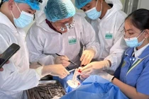 Thoái hóa khớp gối, hướng điều trị mới bằng Exosome