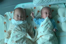 Song thai 600gr và 1000gr, cuộc chiến giành sự sống giữa ranh giới mong manh