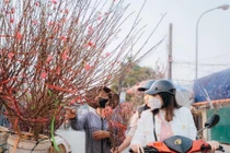 Thời tiết miền Bắc ngày cận Tết, nắng ấm trước khi chuyển mưa rét