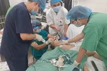 Cứu sống bé gái 3 tuổi bị dị vật đường thở trong dịp Tết Nguyên đán