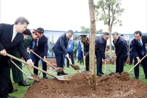 Tổng Bí thư Tô Lâm dự Lễ phát động Tết trồng cây tại Hà Nội