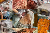 Tạm giữ 20 tấn nội tạng động vật bốc mùi trên một container