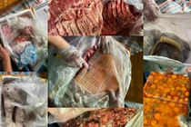 Tạm giữ 20 tấn nội tạng động vật bốc mùi trên một container