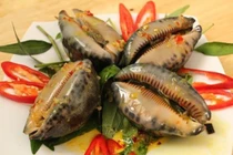 Ốc trinh nữ, đặc sản biển miền Trung hấp dẫn du khách