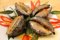 Ốc trinh nữ, đặc sản biển miền Trung hấp dẫn du khách