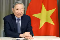 Tổng Bí thư Tô Lâm điện đàm với các Nghị sĩ Mỹ