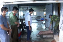 Khởi tố chủ trại lợn ở Hưng Yên giết mổ, bán thịt nhiễm dịch tả lợn châu Phi