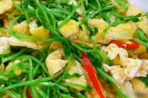 Lợi ích của rau mầm đậu Hà Lan, cách chế biến món ngon tại nhà