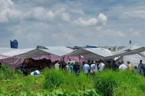 Khởi tố vụ xâm phạm mồ mả tại Hưng Yên, bắt giữ tài xế máy xúc