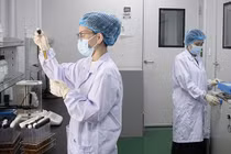 Chính sách thu hút chuyên gia khoa học, công nghệ, chuyển đổi số