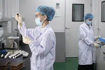 Chính sách thu hút chuyên gia khoa học, công nghệ, chuyển đổi số