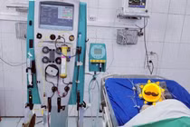 Thay huyết tương cứu bệnh nhân suy gan cấp, hội chứng não gan