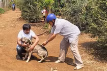 Nam thanh niên ở Đắk Lắk tử vong sau 20 ngày bị chó cắn