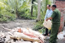 Phát hiện, tiêu hủy lượng lớn thịt heo bốc mùi trong lò mổ ở Vĩnh Long