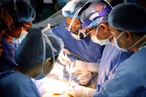 Bộ Y tế chỉ đạo ngăn chặn hành vi mua bán, chiếm đoạt mô, tạng