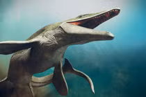 Loài thủy quái khổng lồ mới được phát hiện ở Morocco