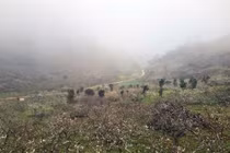 Dự báo thời tiết ngày 3/1/2026: Miền Bắc rét đậm