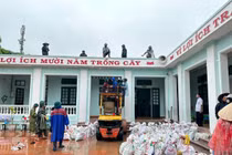 Hải Phòng ứng phó bão WIPHA, ưu tiên cao nhất là tính mạng dân