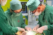 Sưng vùng cổ, thanh niên 17 tuổi phát hiện nang cổ bẩm sinh 