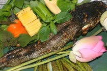 Về Đồng Tháp ăn cá lóc nướng trui cuốn lá sen non thơm lừng